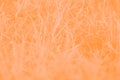 Orange blurred abstract background with grass pattern Royalty Free Stock Photo