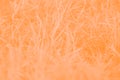 Orange blurred abstract background with grass pattern Royalty Free Stock Photo