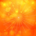 Orange blurred bokeh halloween background with spiders web,