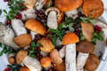 Orange boletus mushrooms and lingonberry in buckets on a rustic background. Collecting wild mushrooms and berries in the forest