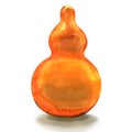 Orange bottle gourd isolated on a white background Royalty Free Stock Photo