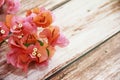 Orange bougainvillea flower on a wooden background Royalty Free Stock Photo