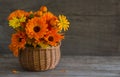 Orange bouquet of marigold flowers in a basket on a wooden background with a copy of space Royalty Free Stock Photo