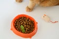Orange bowl with cat food, mouse, cat paws on a white background. Flat lay composition with cat accessories and food Royalty Free Stock Photo