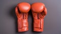 Matte Photo: Pair Of Orange Boxing Gloves On Grey Background