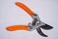 Orange branch scissors potograph on a studio Royalty Free Stock Photo