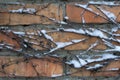 Orange brick wall braided by ivy with snow