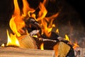 Orange bright flame with sparks stacked bonfire burned close-up background base camping holiday