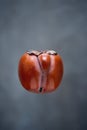 Orange ugly persimmon flying kaki fruit isolated