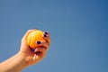 Orange bright tennis ball in a female hand on a background of blue sky Royalty Free Stock Photo