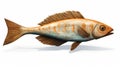 Colorful Woodcarvings: A Photorealistic Rendering Of A Prehistoricore Fish