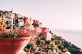 Orange brown flower clay pot close up with old village town Corniglia blur on the background Royalty Free Stock Photo