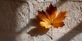 Orange and Brown Maple Leaf on Textured Stone Wall Royalty Free Stock Photo