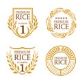 Orange brown paddy rice organic natural product banner logo vector design