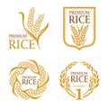 Orange brown paddy rice premium organic natural product banner logo vector design Royalty Free Stock Photo