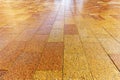 Orange brown tiles city pavement wet background Royalty Free Stock Photo