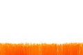 orange brush border
