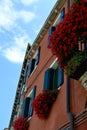 Window Boxes Flowers Royalty Free Stock Photo