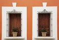 Orange building with wooden windows and potted plants on windowsills outdoors