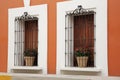 Orange building with wooden windows and potted plants on windowsills outdoors
