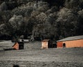 Orange buildings atop a verdant hillside, illuminated by the sun Royalty Free Stock Photo