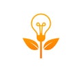 Orange bulb plant. Isolated Vector Illustration