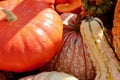 Orange bumpy pumpkin gourd fall macro background