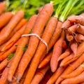 Orange bundle of organic carrots