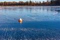 Orange buoy frozen fast in a icy lake