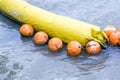 Orange buoy Used in the form of water made from special plastic