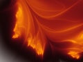 Orange burning flames