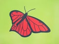 Orange Butterfly Graphic