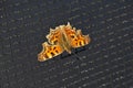 Orange butterfly on the trampoline safety net against black background