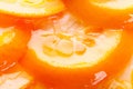 Orange cake with gelatin toping Royalty Free Stock Photo