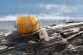 Orange Calcite Crystal and Handmade Pendulum