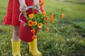 Orange calendula flowers in a red bucket in the hands of a girl in a meadow. Fragment. Copy space