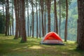 Orange camping tent Royalty Free Stock Photo