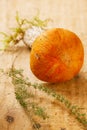 Orange-cap boletus mushroom on aspen wooden board