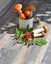 Orange cap boletus mushrooms, summer composition with metal mug