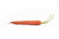 Orange carrot Royalty Free Stock Photo