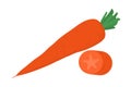 Orange carrot, fresh healthy food. Organic vegetable