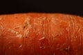 orange carrot, macro photography, young carrot, large carrot, texture