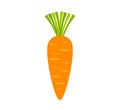Orange carrot vegetable icon on white background Royalty Free Stock Photo