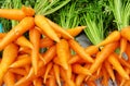 Orange Carrots