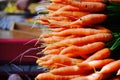 Orange carrots from the garden Royalty Free Stock Photo