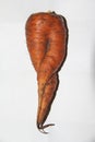 Orange carrots of unusual shape