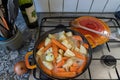 Orange casserole with meat, diced potatoes, carrots and celeriac on gas stove. Onion studded with cloves. Cooking scenery for