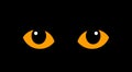 Orange cat eyes isolated on black background. Royalty Free Stock Photo