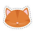 orange cat face pink nose mustache line dotted