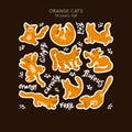 Set of Orange Cats. Vector